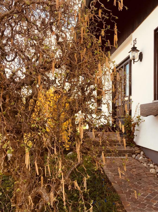 Hegau-Lounge-Bodensee Muhlhausen-Ehingen Ngoại thất bức ảnh