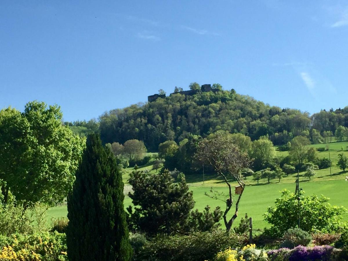 Hegau-Lounge-Bodensee Muhlhausen-Ehingen Ngoại thất bức ảnh